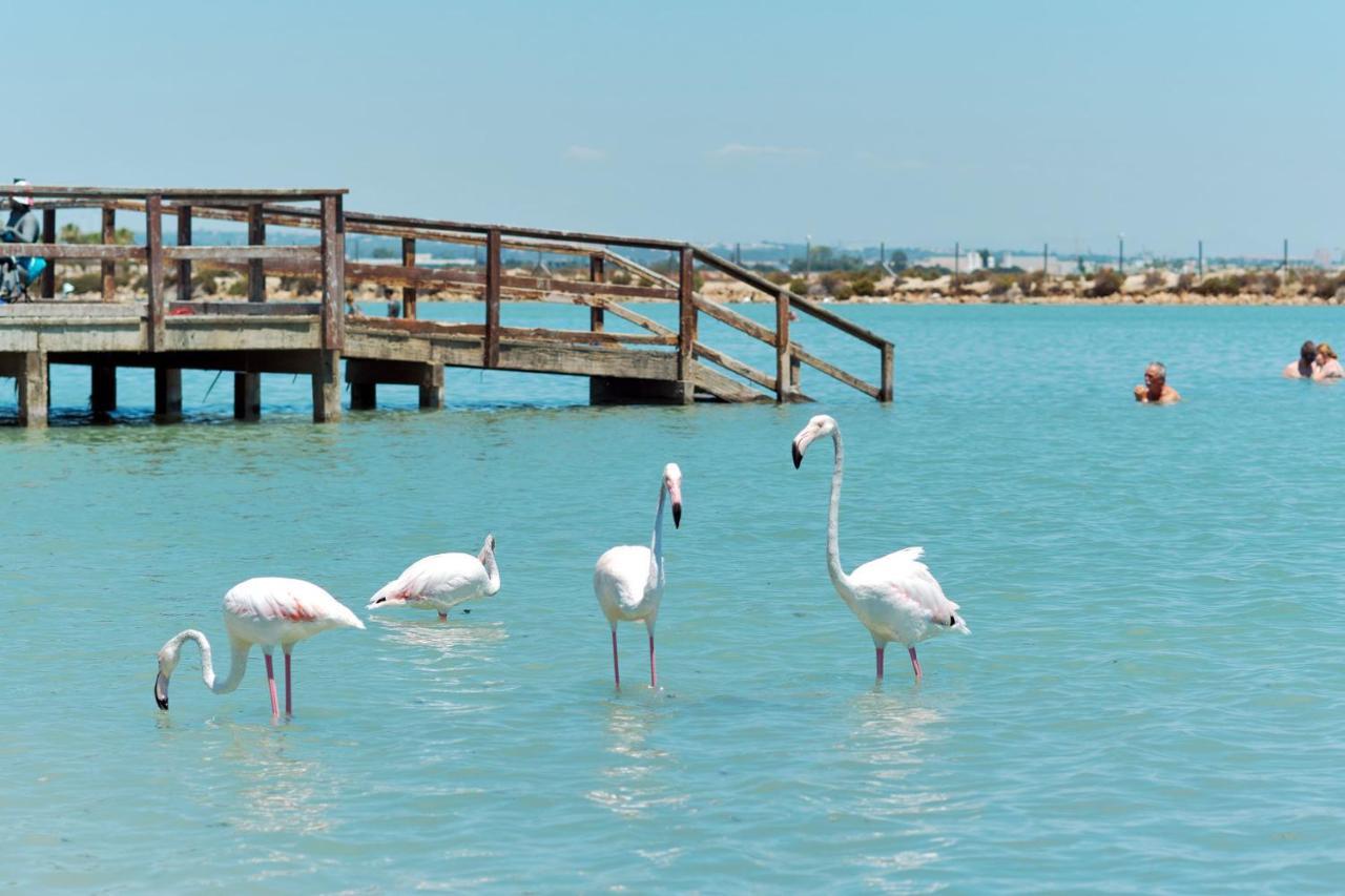 Villa Luna San Pedro del Pinatar